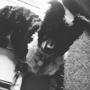 Meet your Posher, Andrew